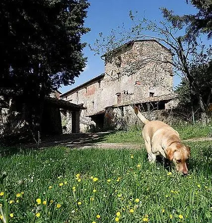 Casa Fallocchio